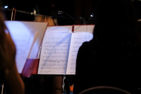 Dan samostojnosti Krško 035